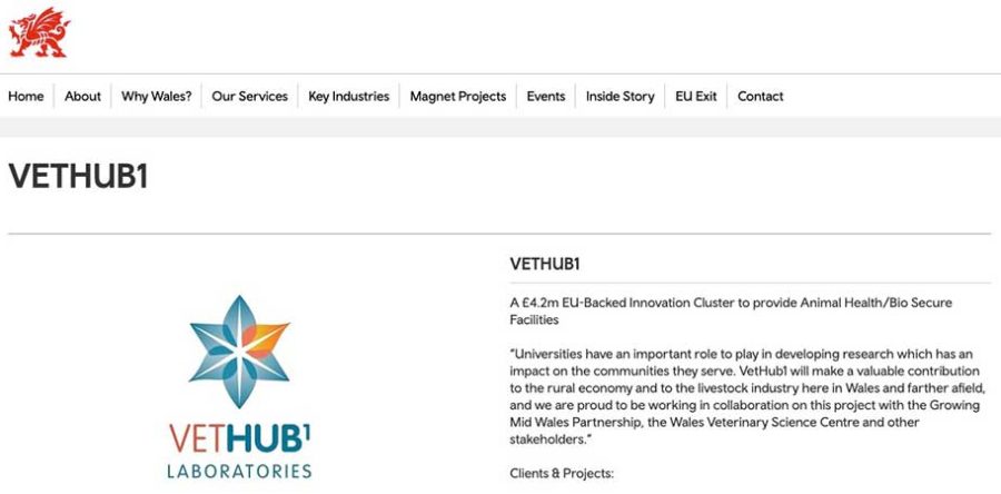 VetHub<sup>1</sup> identified as a Magnet Project